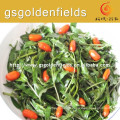 Fresh goji berry sprout vegetables is helpful to health